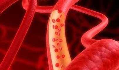 塑料杯 隨手杯 辦公杯 水杯/大水杯(365ML)[供應]_世界工廠網(wǎng)中國產(chǎn)品信息庫